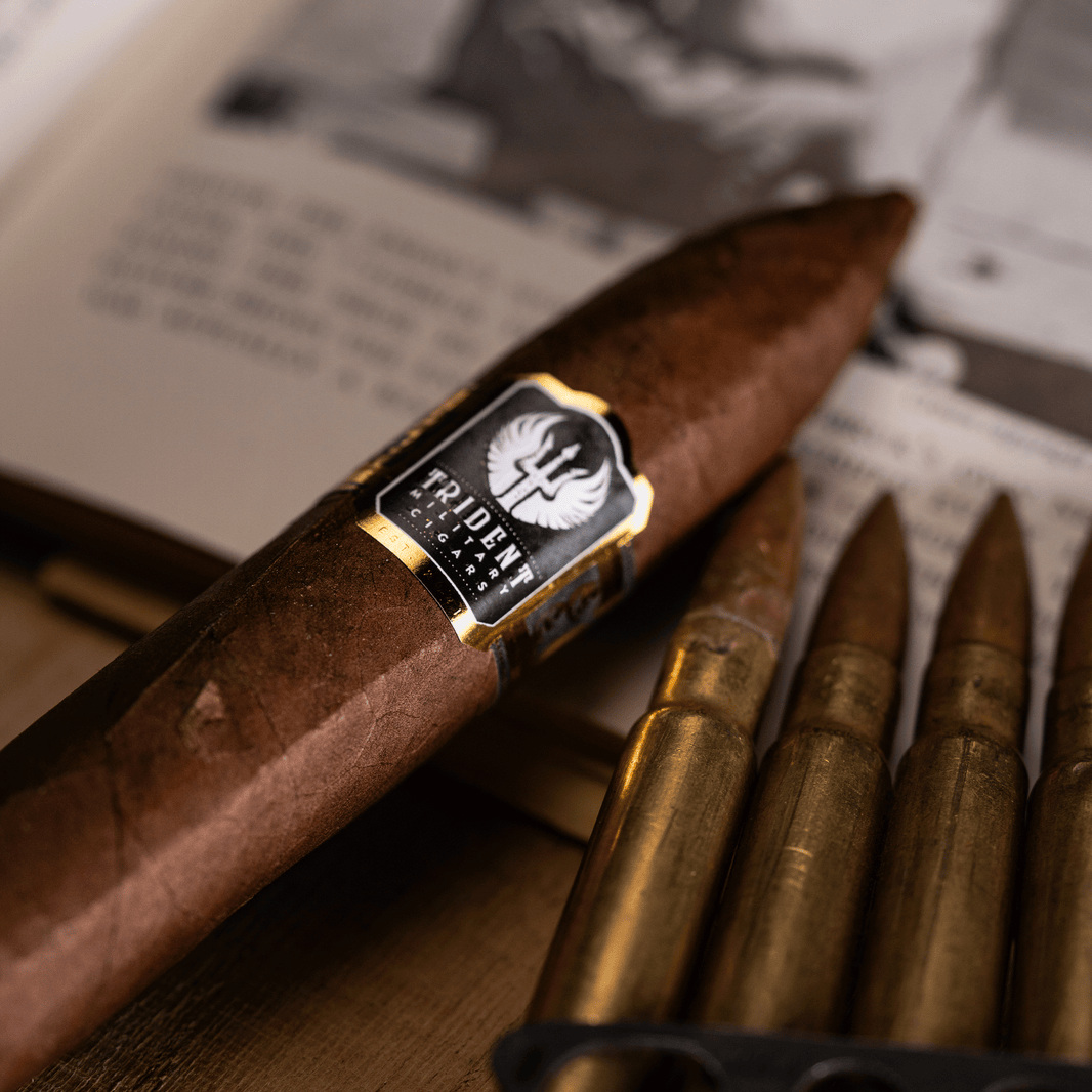 image The Warspite - Single